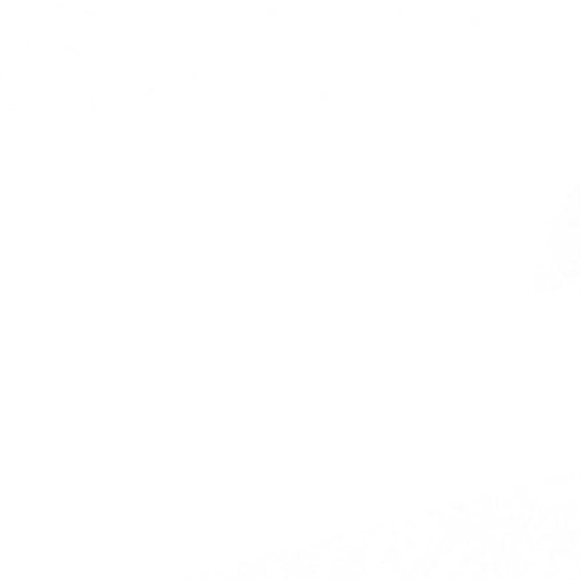 New! Serefina Anthropologie Gold Plated Rose Cut CZ Cuff Bracelet - Picture 9 of 9